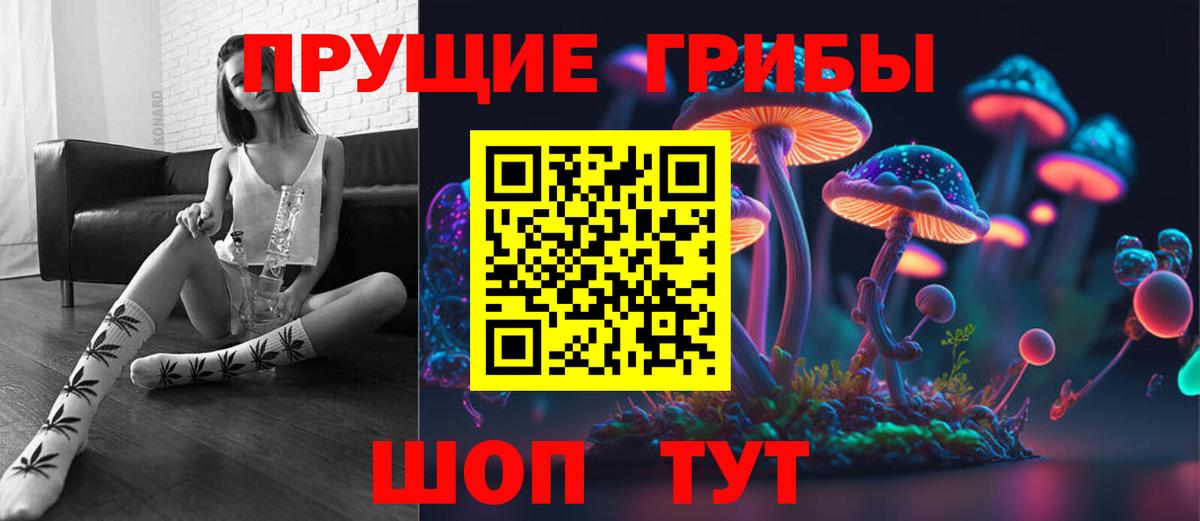 Будённовск  Галлюциногенные грибы Magic Shrooms  Вход с VPN 